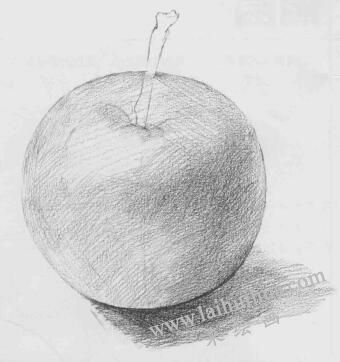 蘋(píng)果素描畫(huà)法步驟03