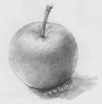 蘋(píng)果素描畫(huà)法步驟04