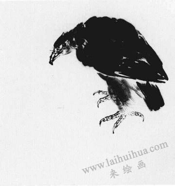 松樹(shù)畫(huà)法步驟01