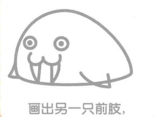 海象的簡筆畫畫法步驟