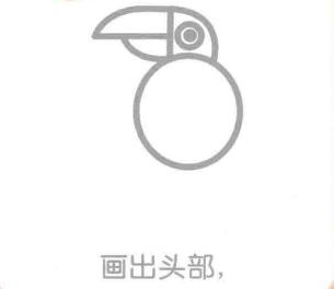 老鷹的頭部，老鷹的簡(jiǎn)筆畫(huà)畫(huà)法步驟02