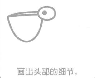 鵜鶘的簡(jiǎn)筆畫(huà)畫(huà)法步驟02