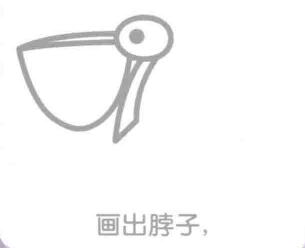 鵜鶘的脖子，簡(jiǎn)筆畫(huà)