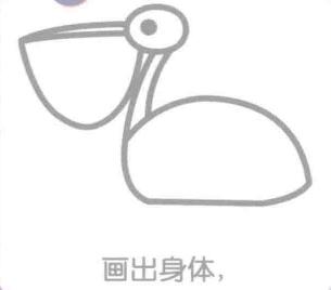 鵜鶘的身體，簡(jiǎn)筆畫(huà)