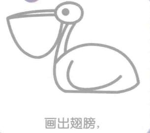 鵜鶘的翅膀，簡(jiǎn)筆畫(huà)