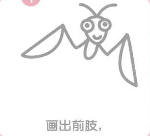 螳螂的前肢，簡(jiǎn)筆畫(huà)