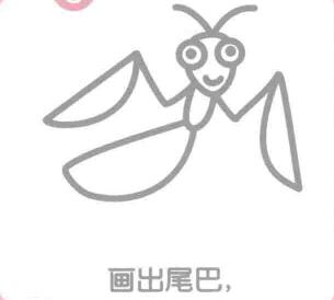 螳螂的尾巴，簡(jiǎn)筆畫(huà)