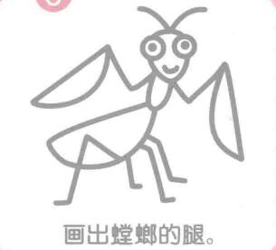 螳螂的簡(jiǎn)筆畫(huà)