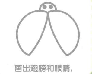 瓢蟲的翅膀和眼睛，簡筆畫