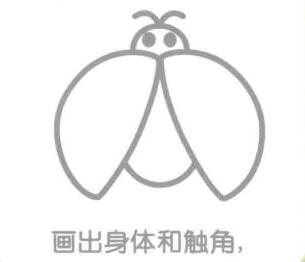 瓢蟲的身體和觸角，簡筆畫