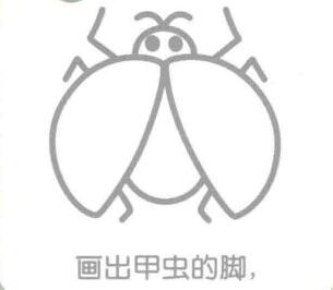 瓢蟲的腳，簡筆畫