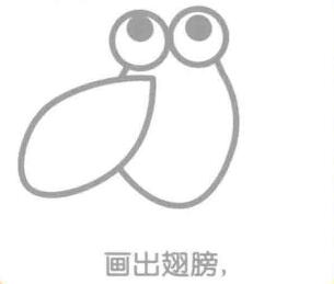 蟬的翅膀，簡筆畫