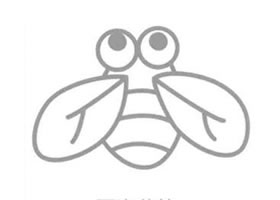 蟬的簡(jiǎn)筆畫