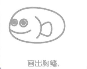 石斑魚的胸鰭，簡筆畫