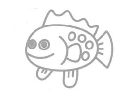 石斑魚簡筆畫