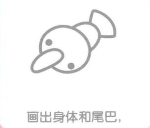 海鷗的身體和尾巴，簡(jiǎn)筆畫(huà)