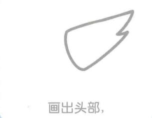 蝦的頭部，簡筆畫