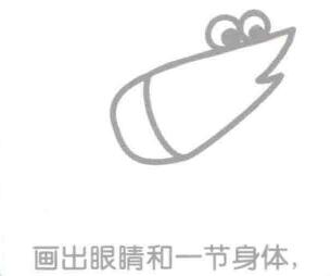 蝦的簡筆畫畫法步驟02