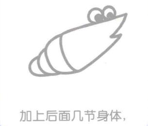 蝦的簡筆畫畫法步驟03