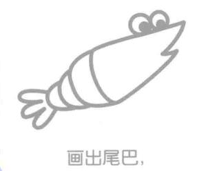 蝦的尾巴，簡筆畫