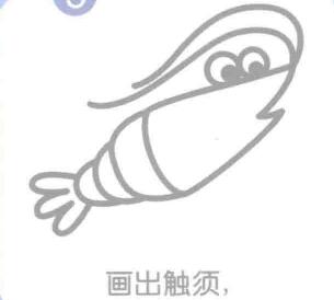 蝦的觸須，簡筆畫