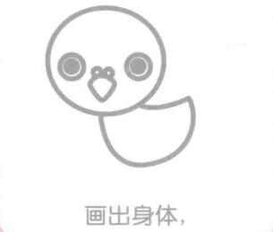 鴿子的身體，簡(jiǎn)筆畫