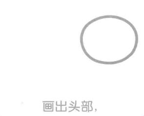 松鼠的頭部，簡筆畫