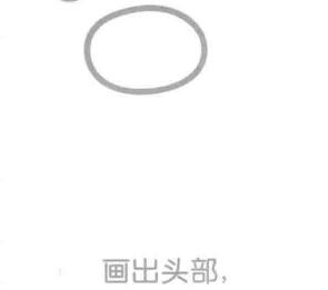 鸚鵡的頭部，簡筆畫
