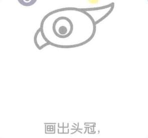鸚鵡的頭冠，簡筆畫