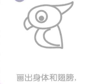 鸚鵡的身體和翅膀，簡筆畫