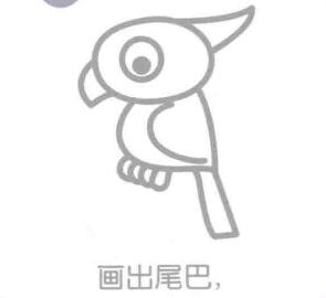 鸚鵡的尾巴，簡筆畫