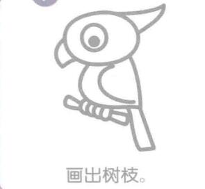 鸚鵡簡筆畫