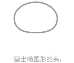 浣熊的頭部，簡筆畫