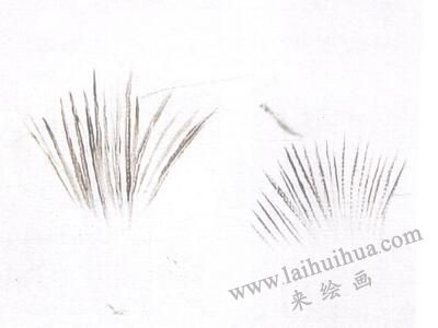 描毛法，油畫貓