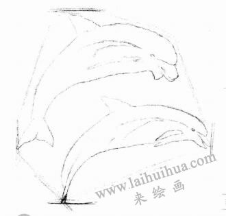 海豚的素描畫法步驟02