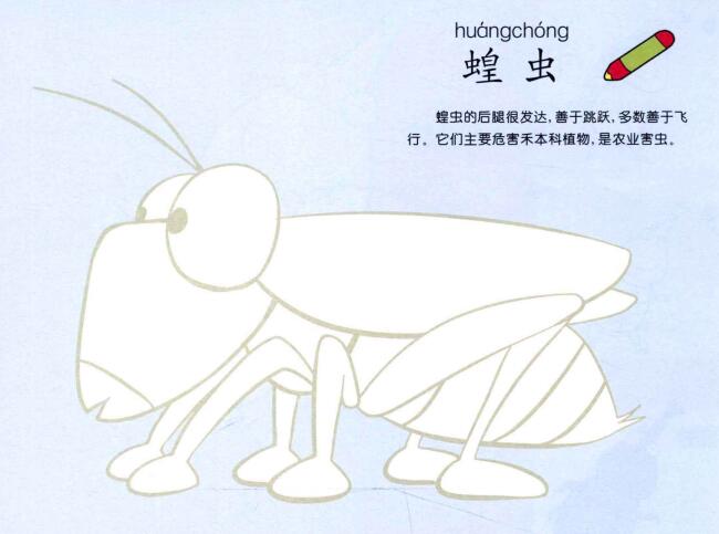 蝗蟲兒童畫