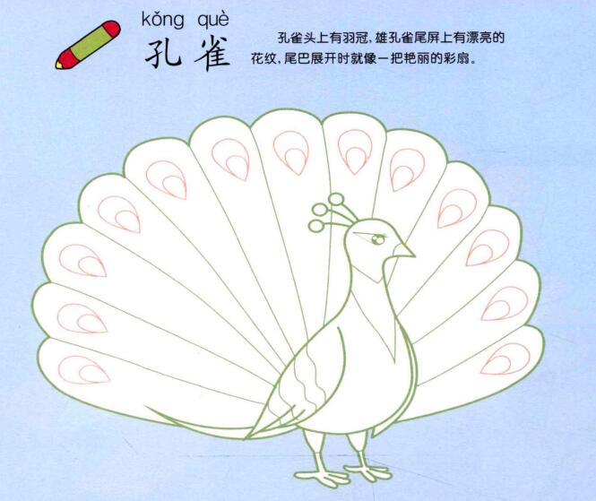 孔雀兒童畫法（一）