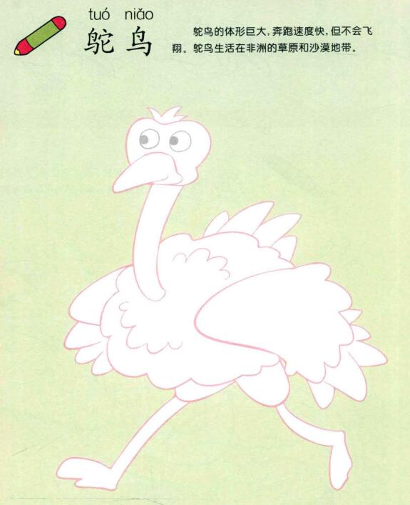 鴕鳥(niǎo)兒童畫(huà)法（一）