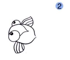 金魚(yú)的畫(huà)法步驟02