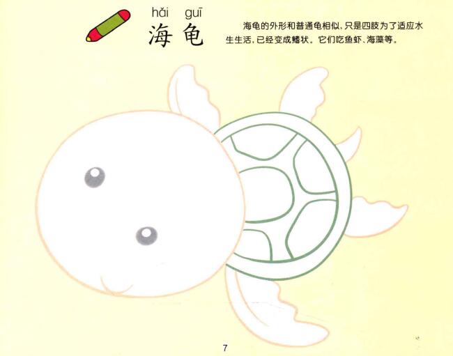 海龜兒童畫