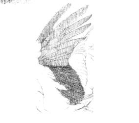 海雕素描鋪大色畫法步驟01