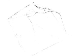 朱鹮素描畫線稿畫法步驟01