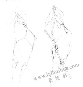 蜂鳥(niǎo)的素描畫(huà)線稿畫(huà)法