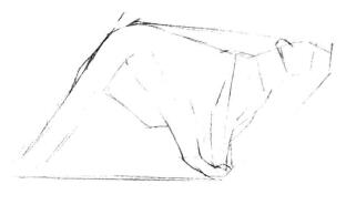 云豹素描畫線稿畫法步驟02