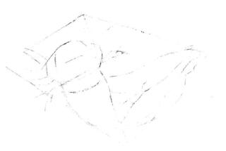 六角恐龍的素描畫(huà)線稿畫(huà)法步驟02