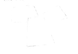 牛角魚(yú)素描畫(huà)線稿畫(huà)法步驟01