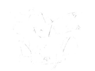 牛角魚(yú)素描畫(huà)線稿畫(huà)法步驟02