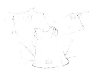 牛角魚(yú)素描畫(huà)線稿畫(huà)法步驟03