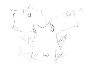 牛角魚(yú)素描畫(huà)線稿畫(huà)法步驟04