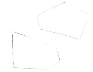 碟尾金魚素描畫線稿畫法步驟01